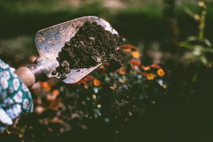 creating a compost